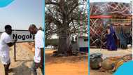 Wode Maya visits Nogokpo, uncovers hidden reason why the town is feared