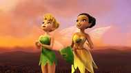 Tinker Bell movies in order: How to watch the fantasy film series