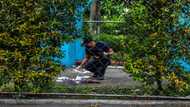 Three people killed in Philippine university shooting