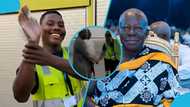 Otumfuo: GACL worker covers his hand with plastic bag after shaking hands with Asantehene