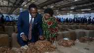 Malawi's debt crisis deepens as aid cuts hurt