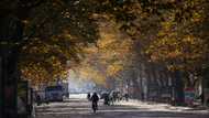'Why would they?': Doubts in Russia's retreat from Kherson