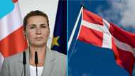 Denmark publishes 4 benefits foreigners with business residence permits cannot receive