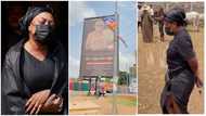 Rich hanti: Video drops as Afia Schwar splashes GHC10k as she buys biggest cow at Kumasi Abattoir for her father's funeral