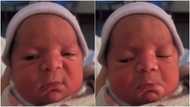 Social media users react as video of angry baby with funny expressions drops online