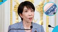Japan lists 16 jobs foreigners can apply for under Specified Skilled Worker visa programme