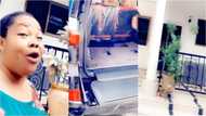 Nana Agradaa flaunts new Lexus, other luxury cars in her huge mansion in video
