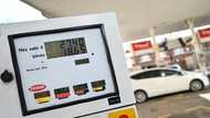 UK inflation stays elevated at in September
