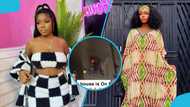 Social media influencer Sarah Lawson in distress as fire engulfs her plush apartment, video stirs reactions