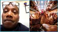 UK-based Ghanaian recounts why he closed down his poultry farm: “Employee was more church-focused”