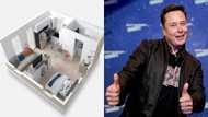 Elon Musk: 3rd richest man in the world moves into small 1-bedroom rented apartment