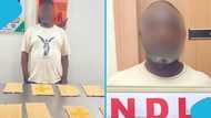 Businessman arrested at the airport over alleged involvement in illicit substance smuggling worth billions