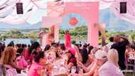 Brutal Fruit Sprintzer's Pink Table Set To Serve Glamour In The City Of Light