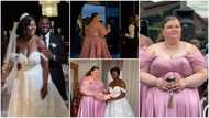 Plus-size bridesmaid wins over the internet with her corseted flared dress and exceptional dance moves