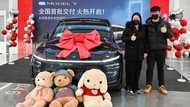 'No need to overthink': China Tesla fans unfazed by Musk politics