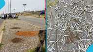 Fishmongers arrested and convicted over drying of fish on road median