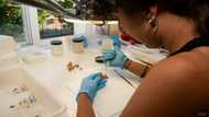 Oldest European human fossil possibly found in Spain