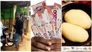 "GHc15 per day isn't enough, pay us well" - Fufu Pounders Association to declare strike