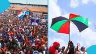 NPP support declines to 25% as NDC's increases to 46% – Global InfoAnalytics
