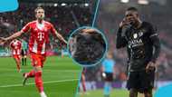 Mysterious cat predicts winner of PSG vs Bayern Champions League semi-final tie