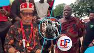Igbo King speaks on incident with Otumfuo's linguist during Asantehemaa's funeral
