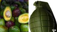 Man robs two small banks of over GHC 40k while disguising avocado as a grenade