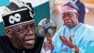 Nigeria uncovers two more fake agencies as name behind them surprises many
