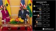 Now $1 equals GH¢11: Cedi stabilises against US dollar amid Kamala Harris’ trip to GH