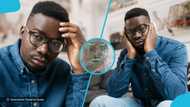 Ghanaian graduate fumes as food vendor uses his university certificate to wrap kelewele