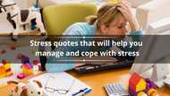 Top 50 stress quotes that will help you manage and cope with stress