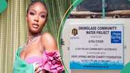 Ayra Starr donates borehole to community in Lagos, happy residents celebrate: “Gen Z wey get sense”