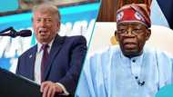 Controversy erupts as US ceases visa services for African cities, list of affected nations surfaces