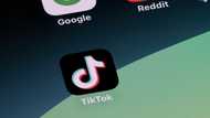 TikTok fails 'disinformation test' before EU vote, study shows