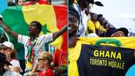 List of African countries whose fans claimed asylum in Canada after traveling for 2026 World Cup