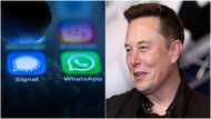 Uncertainties for WhatsApp as world's richest man Elon Musk endorses rival app