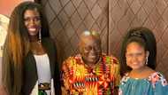 Nana Addo shares ideas with 10-year-old daughter of top business executive; photos drop