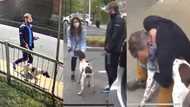 Man Accused of Stealing Dog Bumps Into TV Crew Reporting on Its Disappearance, Gets Arrested