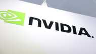 Nvidia crushes earnings expectations on AI chip demand