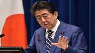 Shinzo Abe, who became Japan's longest-serving premier Wednesday, was groomed for politics from birth and has cemented his power with shrewd diplomacy, unwavering nationalism, and a knack for surviving scandal.