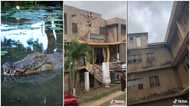 Strange house with 150 rooms in Kumasi has a dark past, netizens share their encounters with it