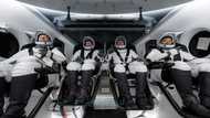 Great News drops as Elon Musk's SpaceX Launches 4 Astronauts to ISS From Florida