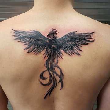 30 cool phoenix tattoo ideas with powerful meanings to try - YEN.COM.GH