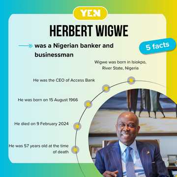 Herbert Wigwe biography: The truth about the former access bank CEO's