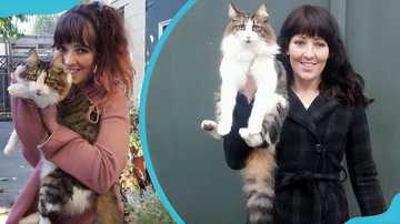 What happened to Kelly Ronahan? Learn about her full story - YEN.COM.GH