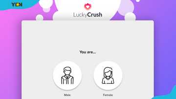 Top 20 LuckyCrush alternatives: Other options for random chat and video ...