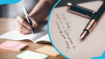 How to reply to a query letter from management at your workplace - YEN ...