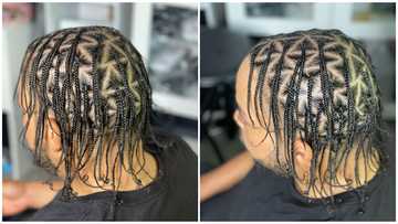 25 incredible box braids men's hairstyles that will upgrade your style ...