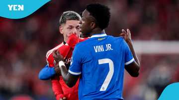 Prestinni não abusou racialmente de Vinicius: UEFA ainda proíbe estrela do Benfica