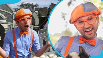 What is Blippi's net worth? Stevin John's assets, income, and salary