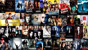 Top 20 best sites where to download series for free and enjoy watching ...